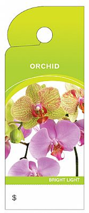 CARETAG-ORCHID 100/pk