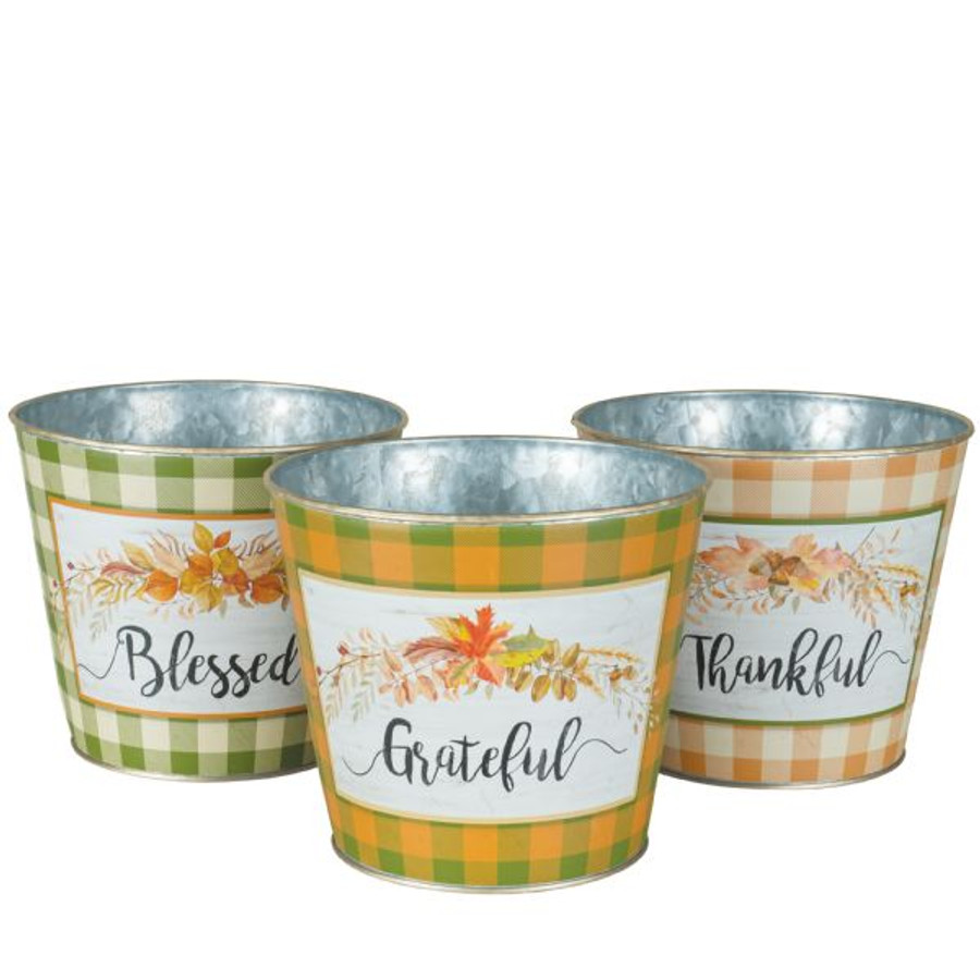 MET RND Thankful Season pot 6" each