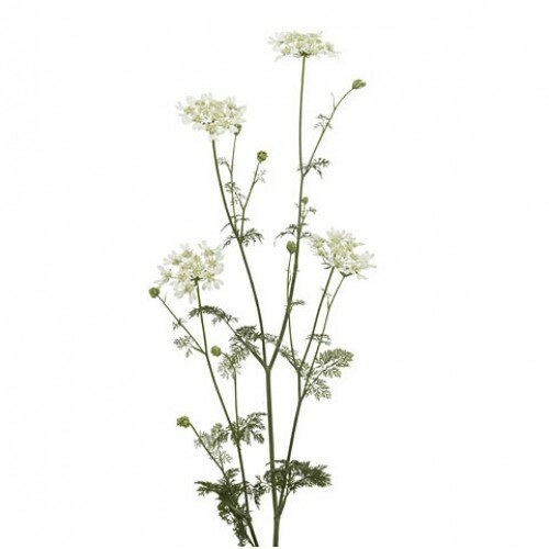 Lace Orylaya green valley