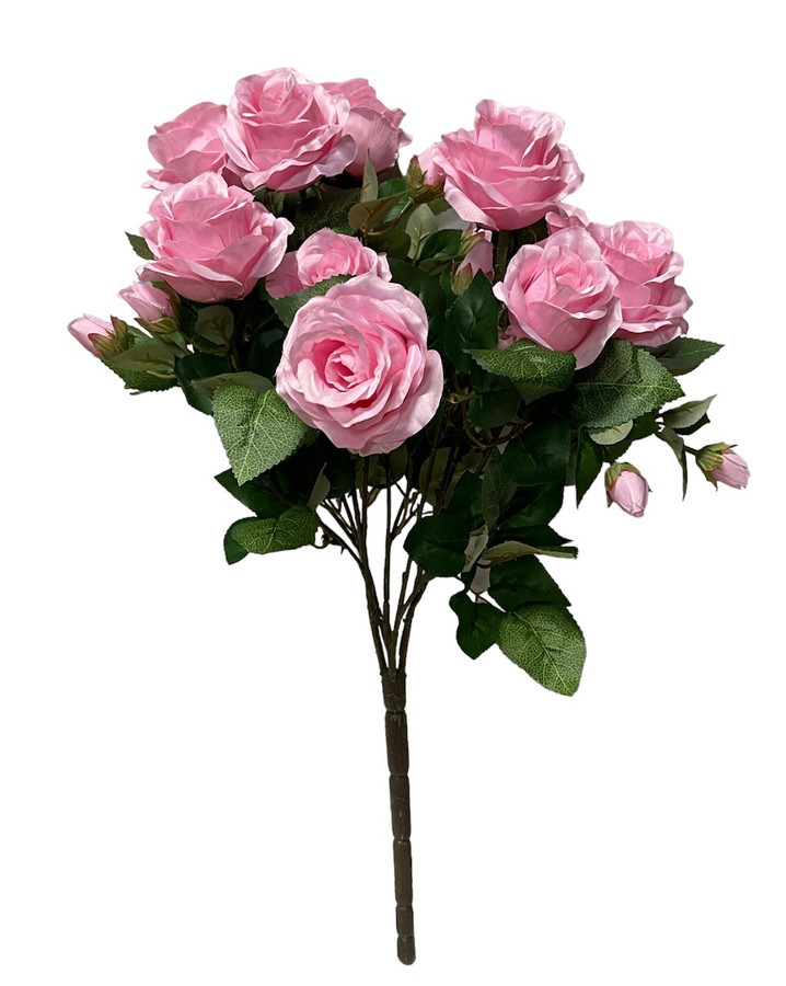 Rose true pink w/buds bush x12