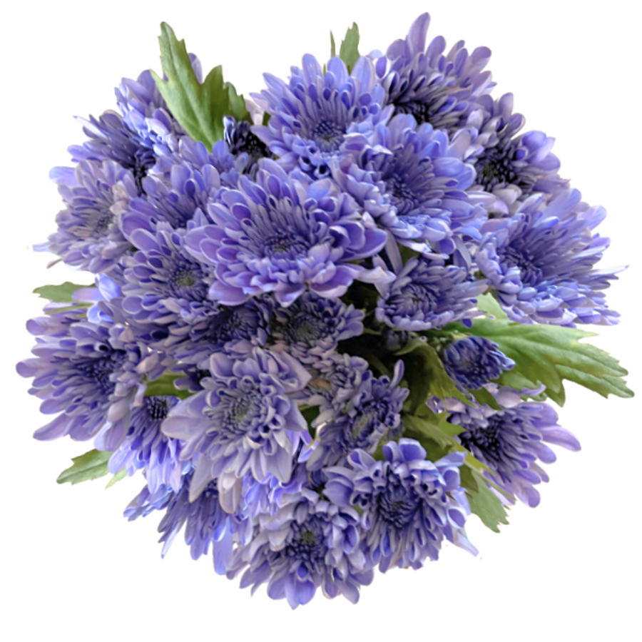 Pom Cushion Sapphire Purple ga