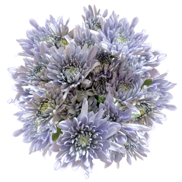 Pom Cush BluOcean Opal FRESCA