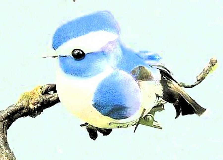 BIRD 3" BlueJay mush/fea sitti