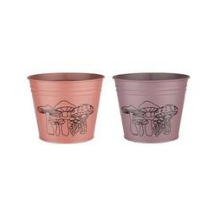 Metal pail 5 1/4" w/toadstools