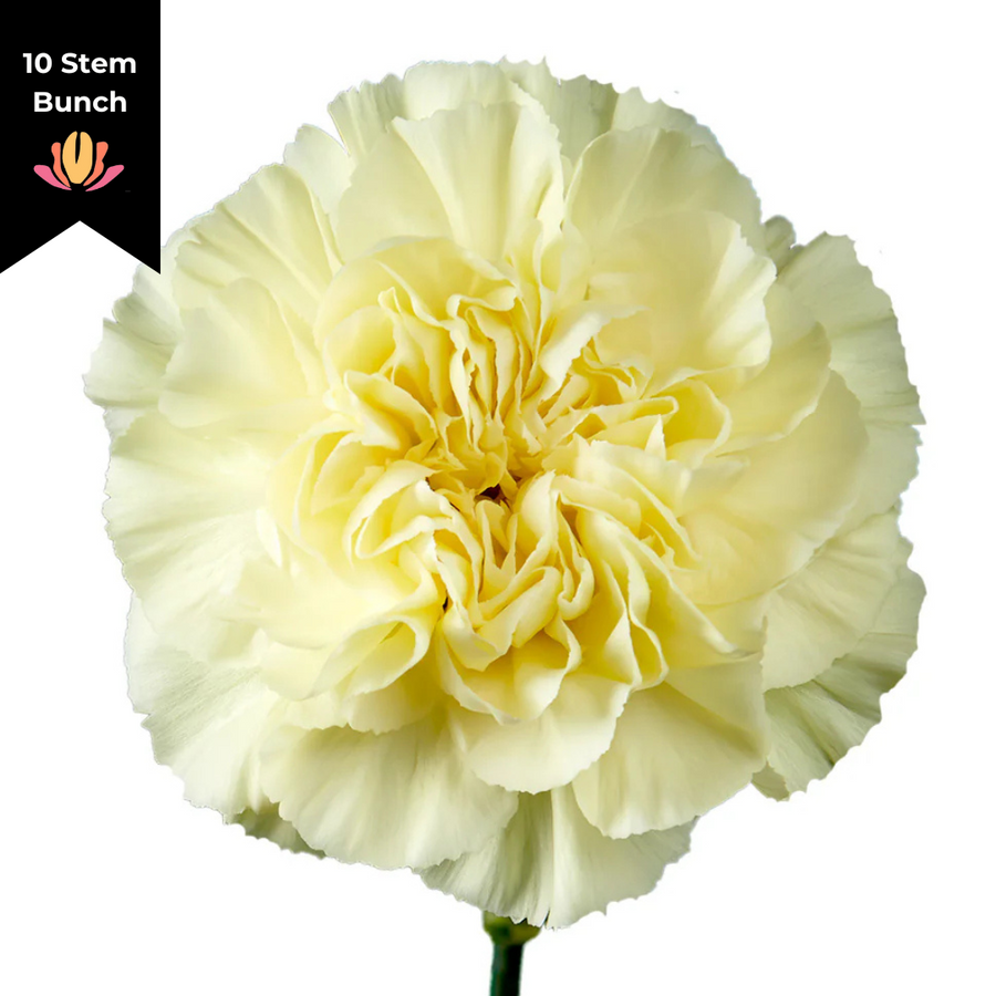 Carn Sel Lemon sole(10st)