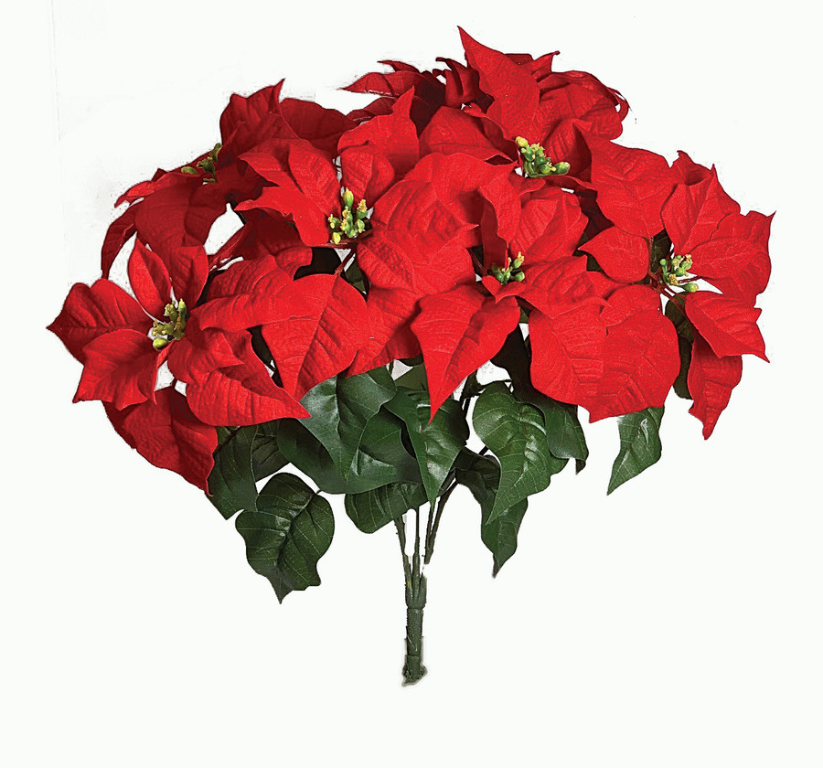 Poinsettia Lg. 20" red bush x7