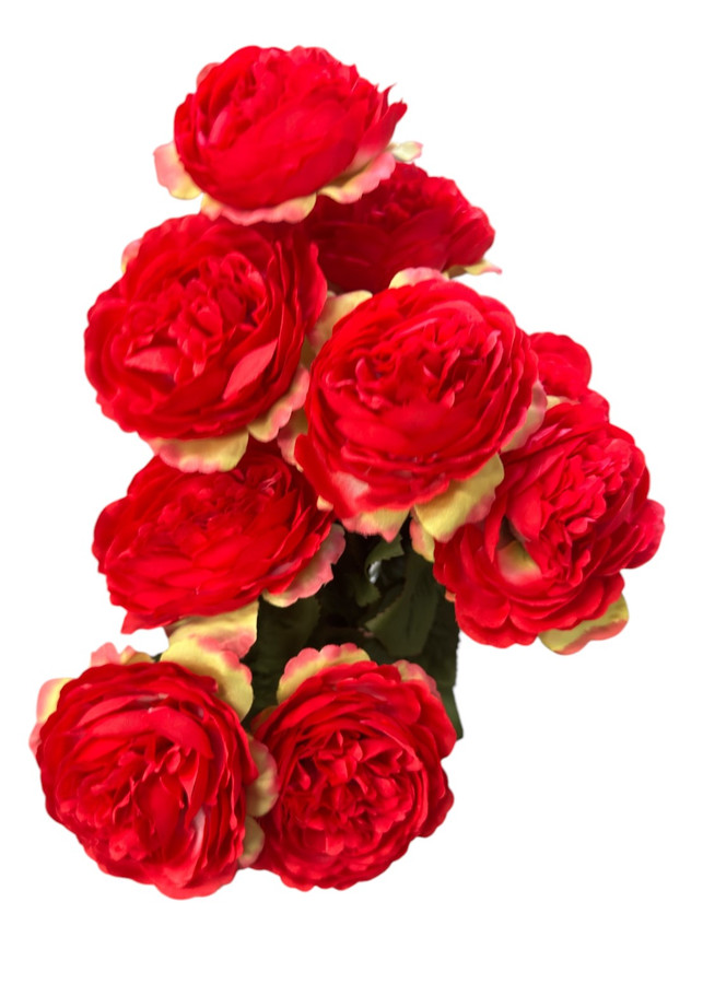 Silk Ranunculus French red bush x9
