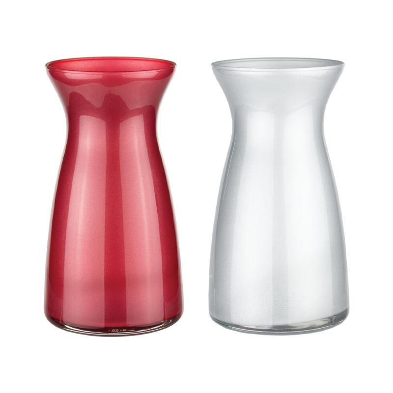 Vibe Vs 6 3/8" peppermint asst