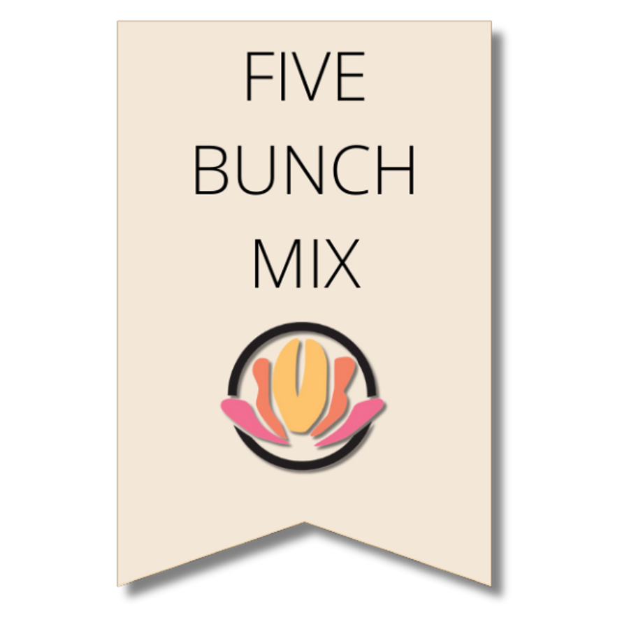 Lissy Purple&Wht 5 bu mixed