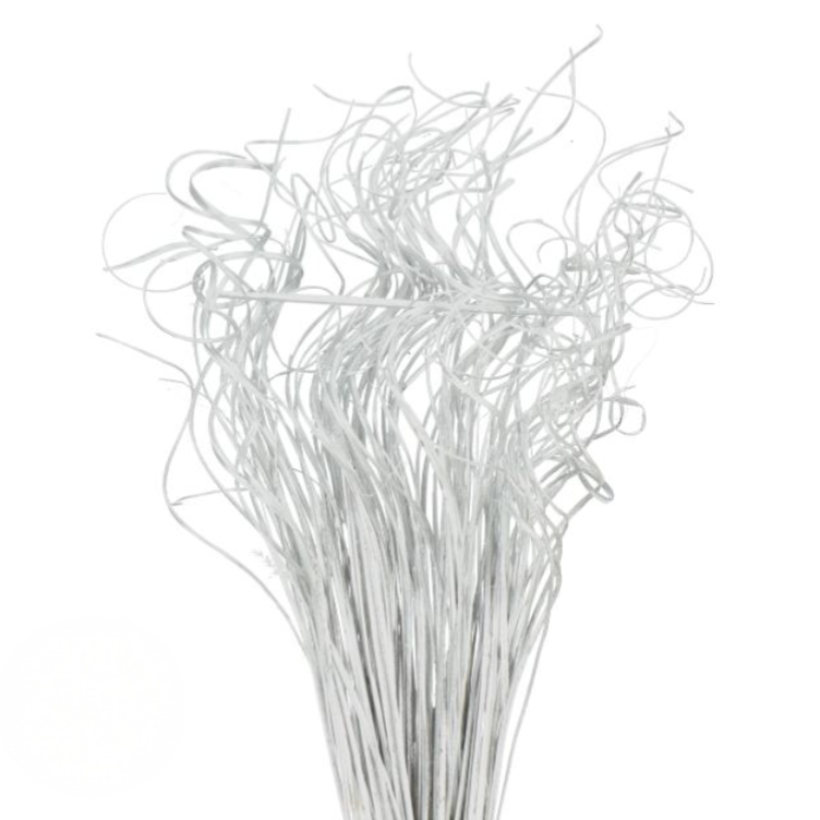 Dried Curly Ting Ting Silver h