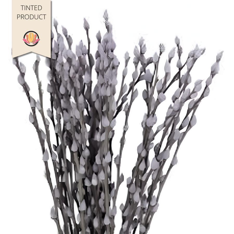 Pussy Willow Dyed Blue