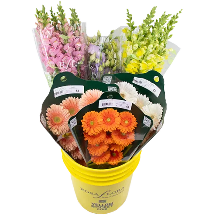 A Farmhouse asst pail x6 RF