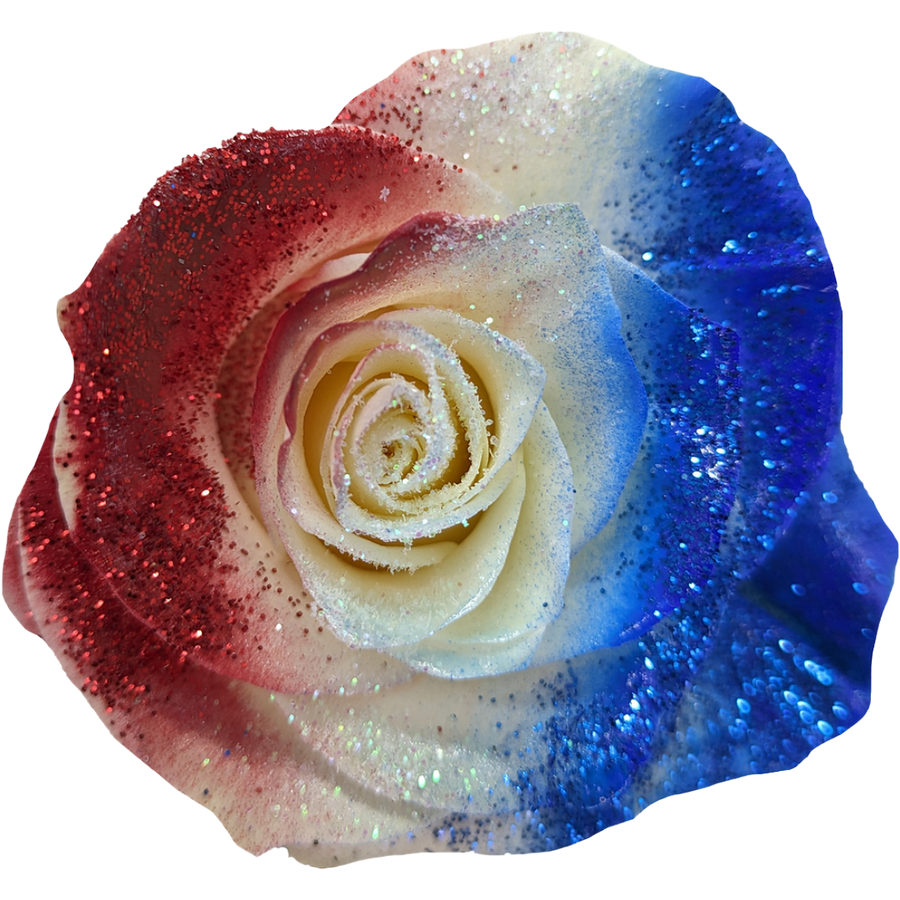 Rose Patriot Spark 50cm Florec