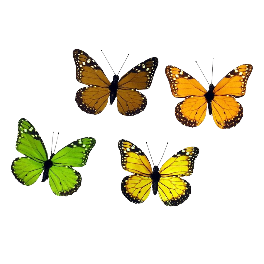 BUTTERFLY 3.25" fall color 8/b