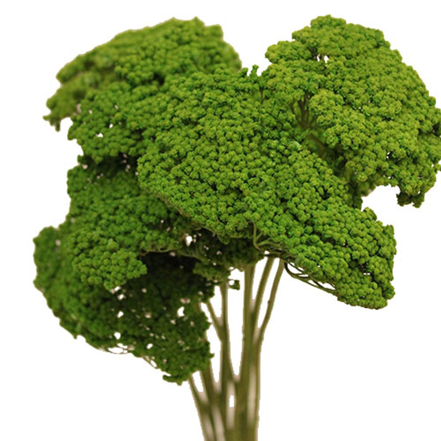 YARROW Spring Green 10ct.