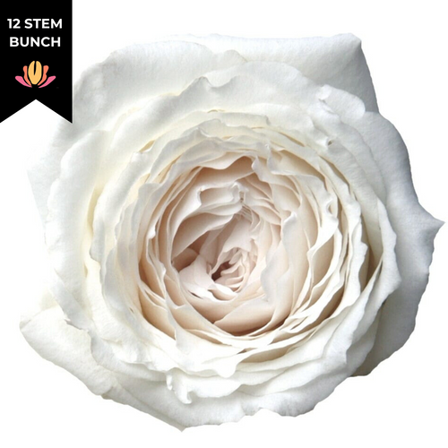 Rose Gdn Princess Miyuki trilo SWFlorist