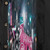 fivestar fiesta stretched slim white text