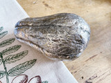 Vintage Maitland-Smith Silvered Bronze Squash Vintage Maitland-Smith Silvered Bronze Squash