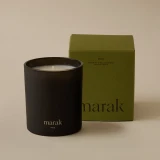 Pine — Noble Fir & Balsam Wood Candle