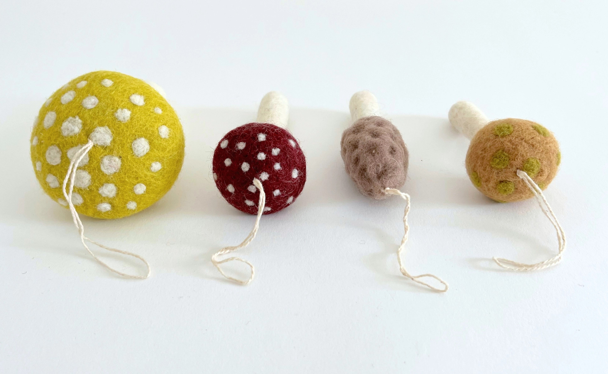 Felted Mushroom Ornament Set