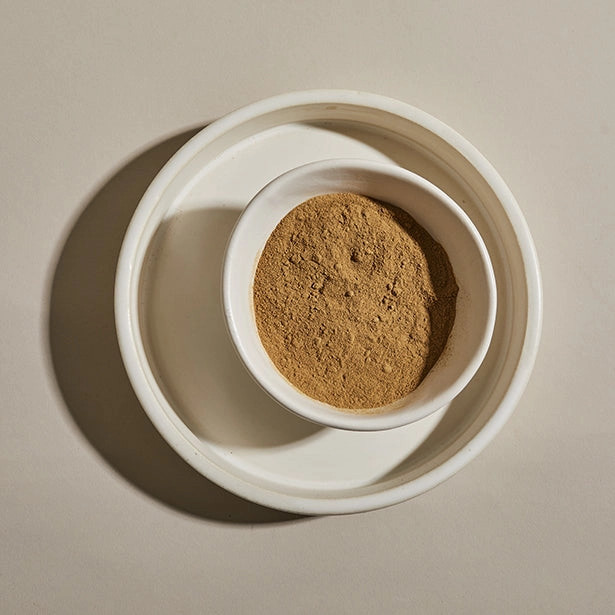 Porcini Powder