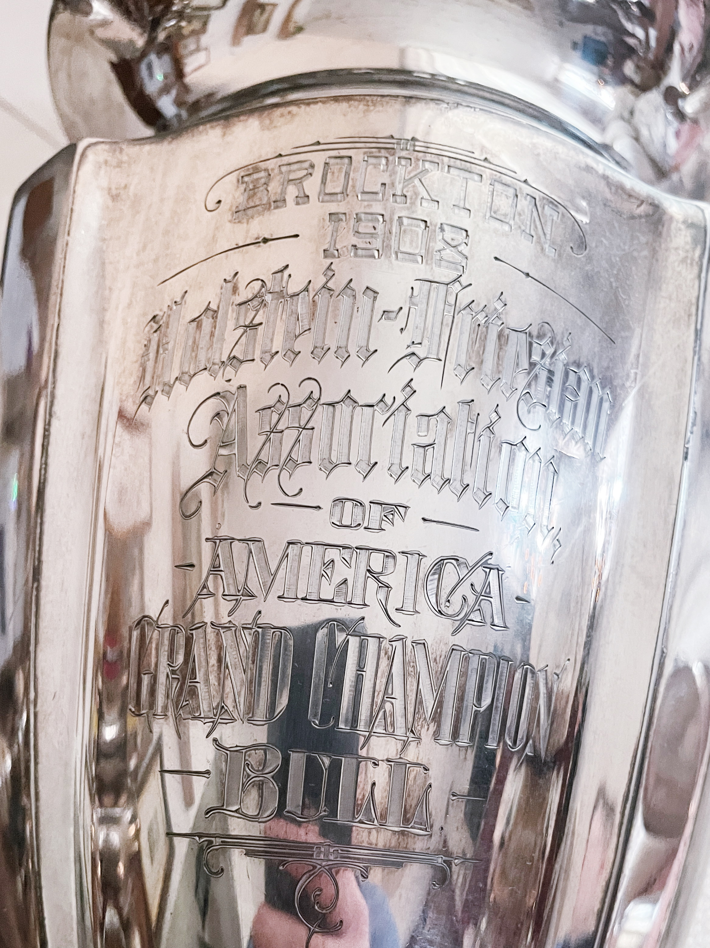 Big 1908 Silver Plated Grand Champion Bull Trophy