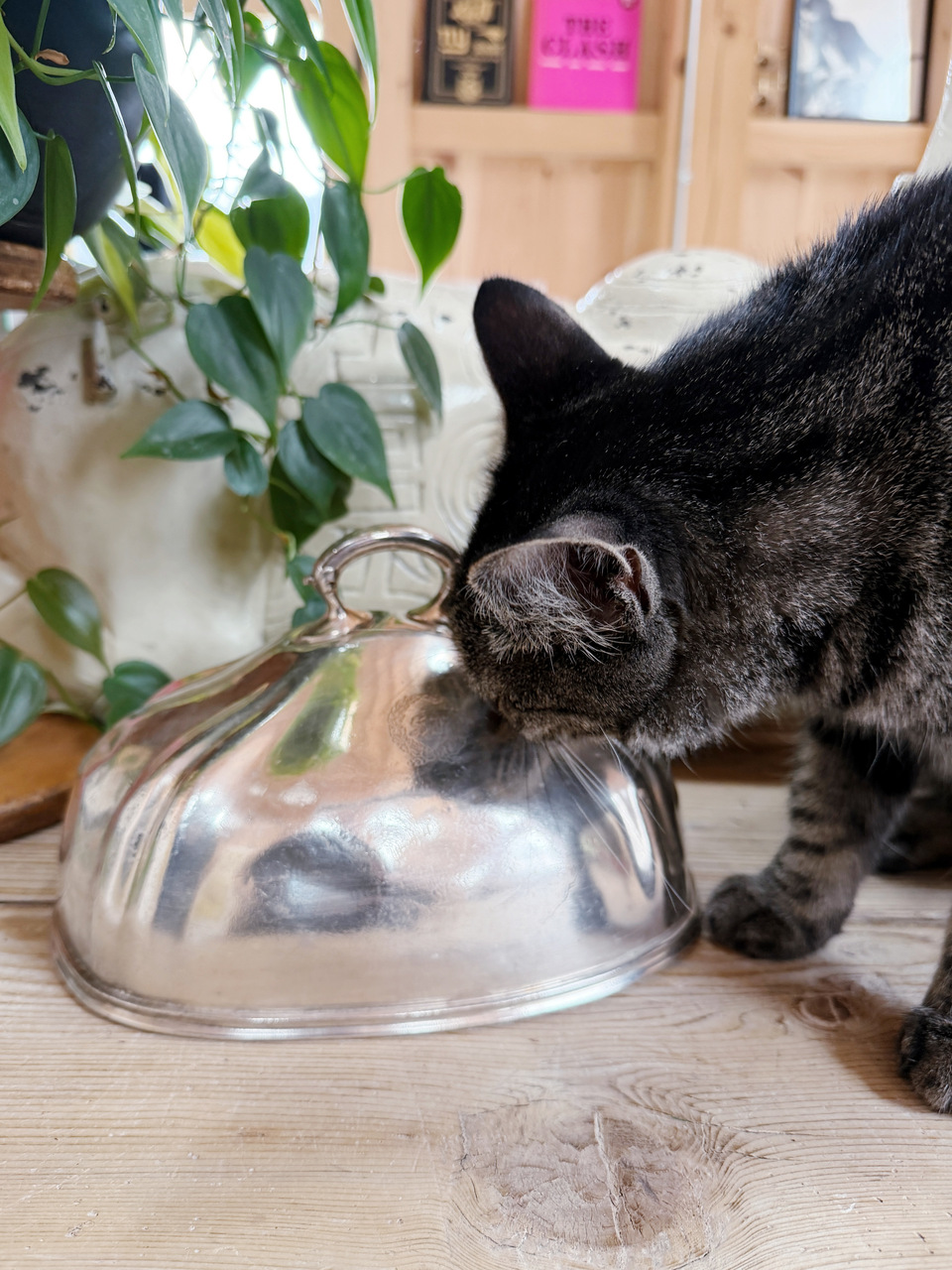 Vintage Silver Plated Dome from St Francis Hotel in San Francisco