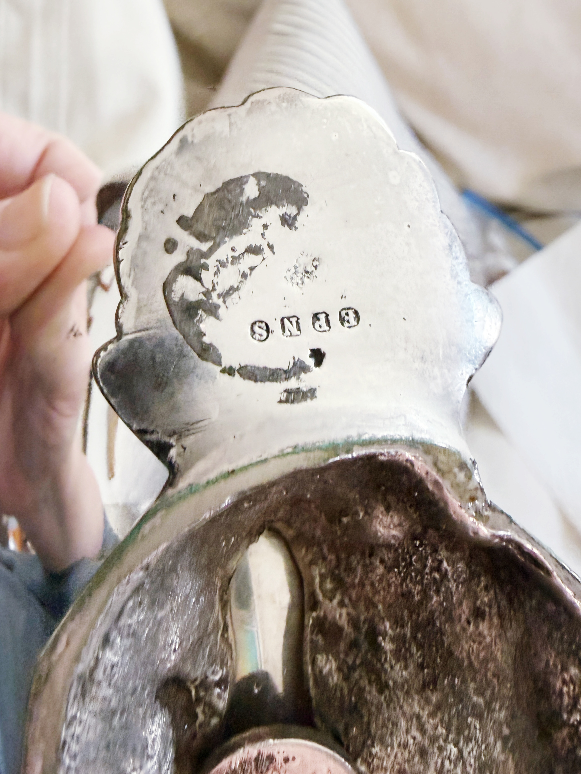 1880s English Silver Plated Nautilus Spoon Warmer