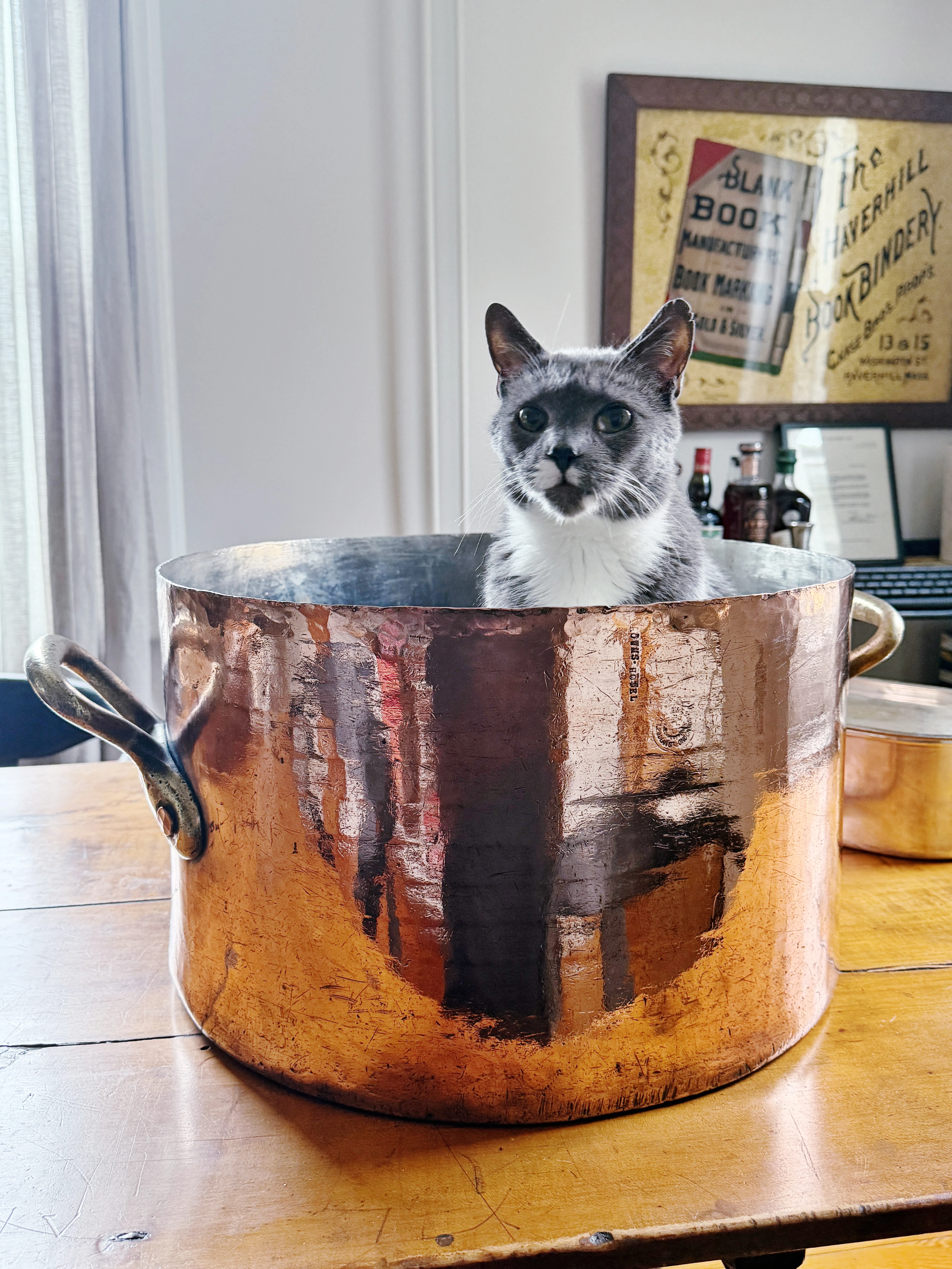 Massive Antique English Copper Pot from Brown's Hotel London