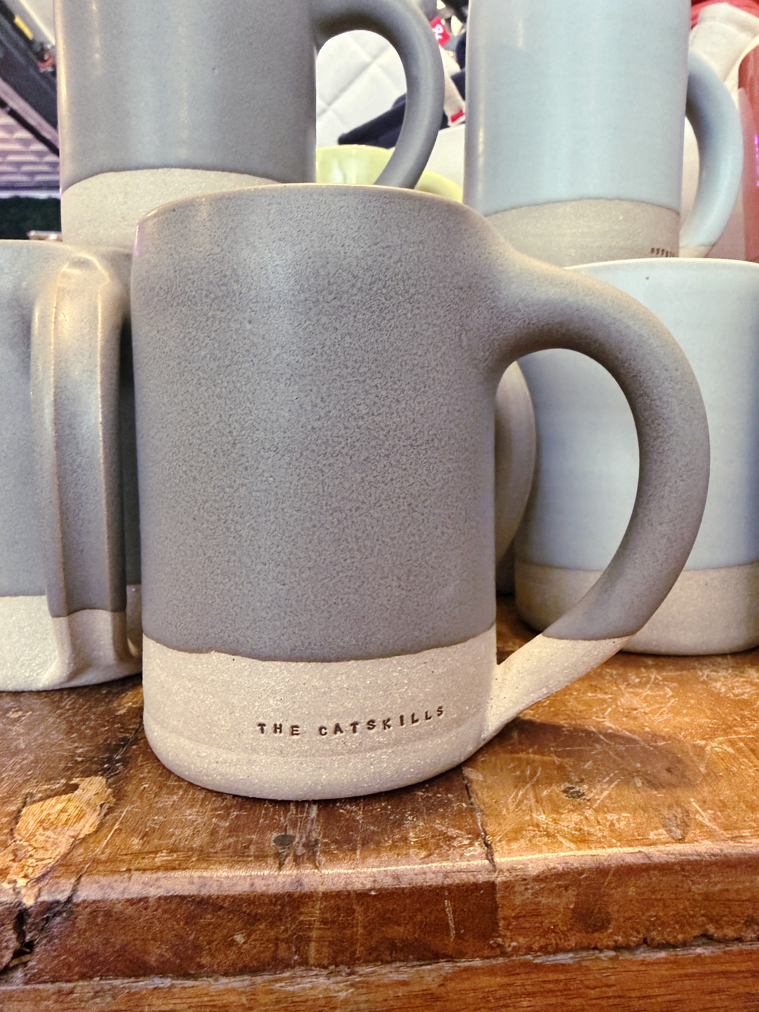 The Catskills Mug