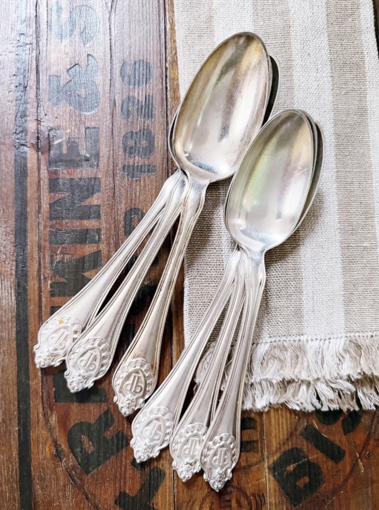 Set of 6 Silver Plated Serving Spoons from The Plaza Hotel NYC