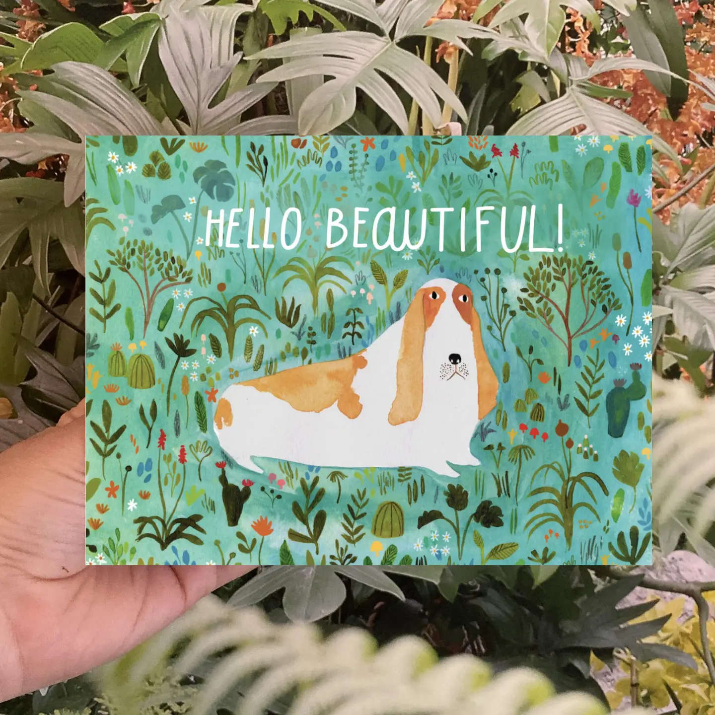 Hello Beautiful Greeting Card