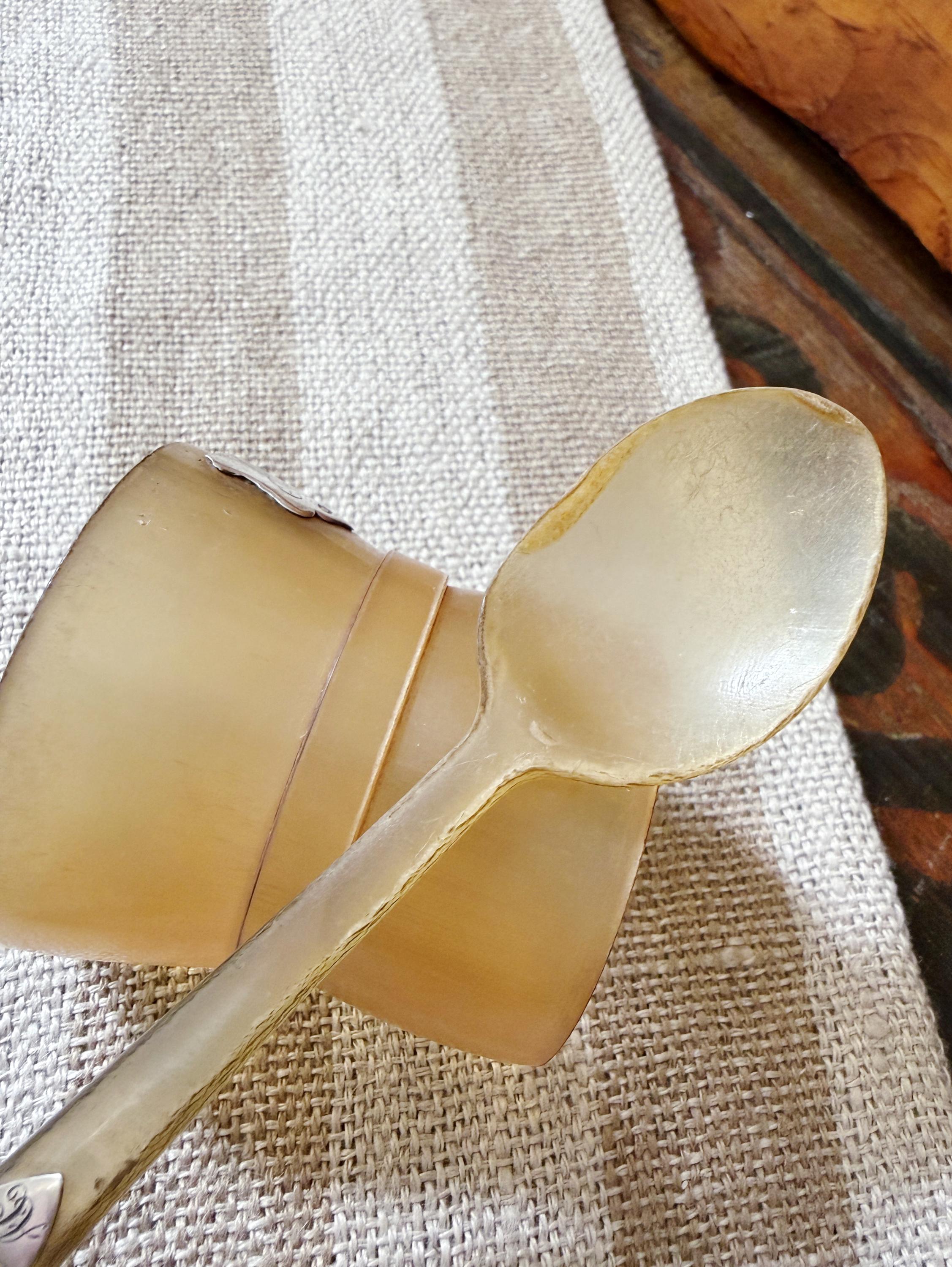 Antique English Sterling and Horn Egg Cup & Spoon