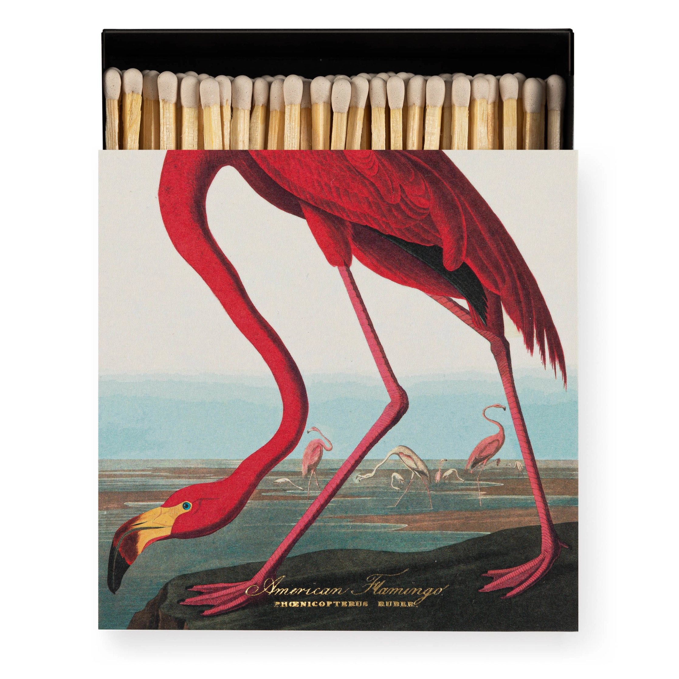 American Flamingo Luxury Matches