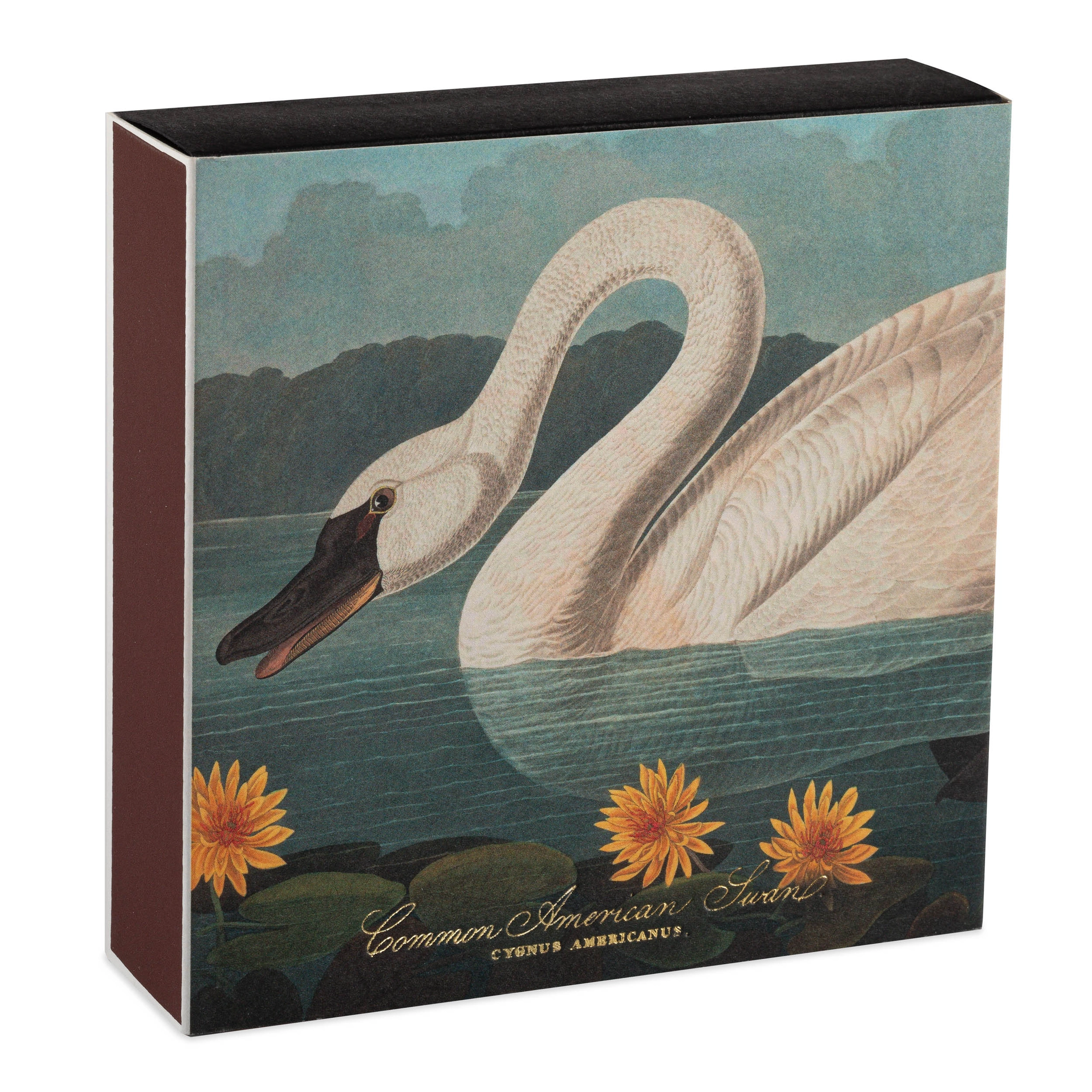Common American Swan Luxury Matches