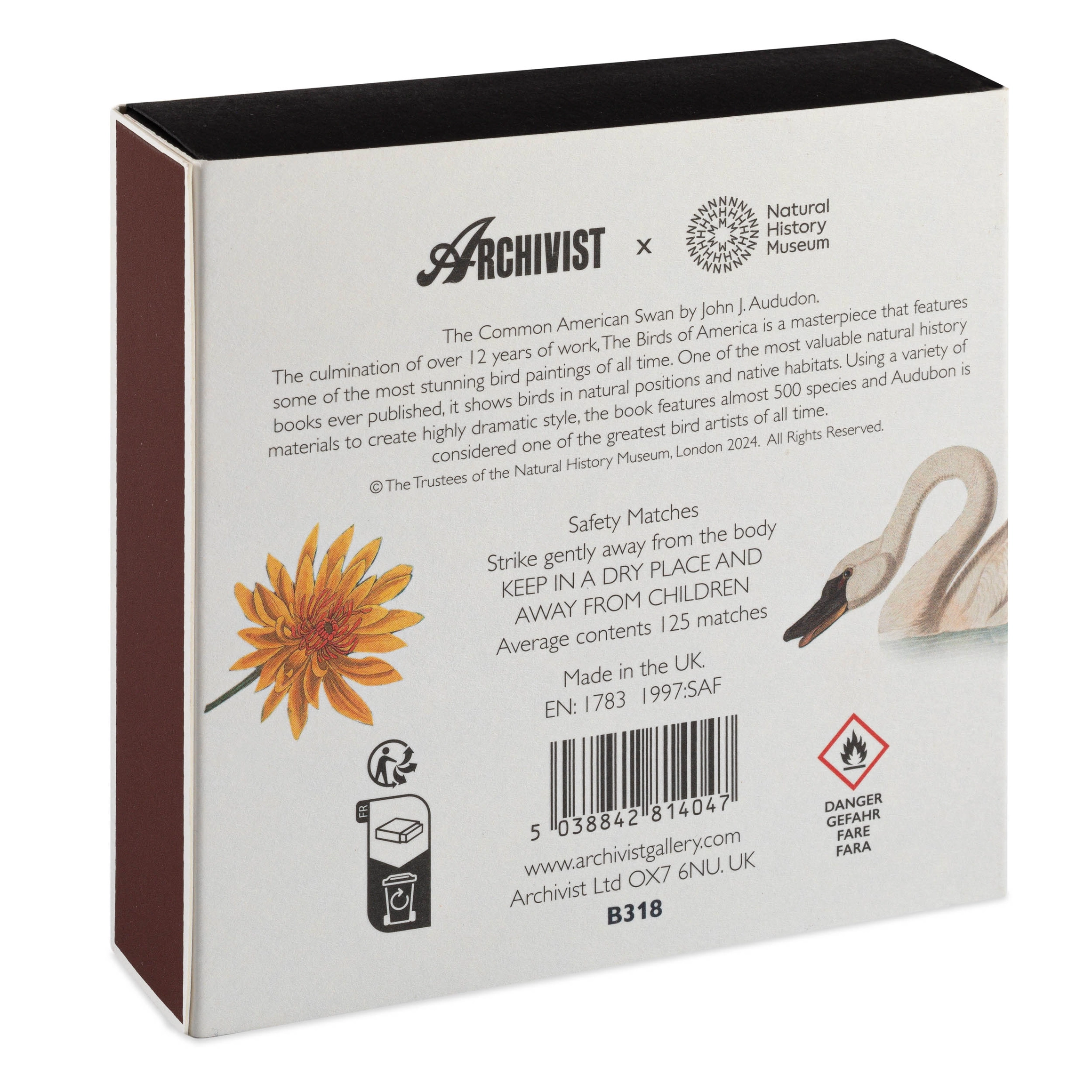 Common American Swan Luxury Matches