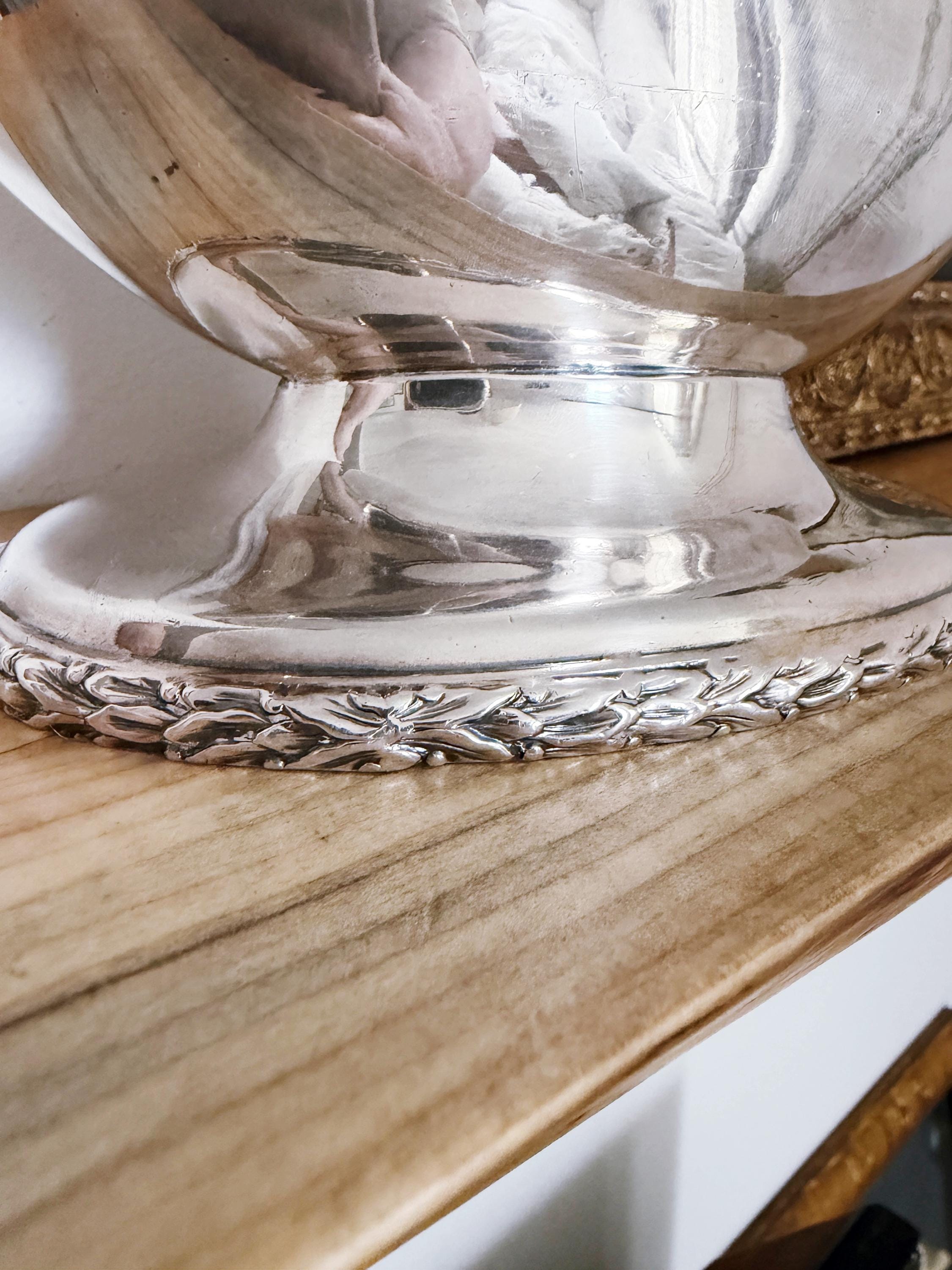 1880s English Silver Plated Nautilus Spoon Warmer