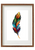 Colourful Single Feather Wood Famed Wall Art A3