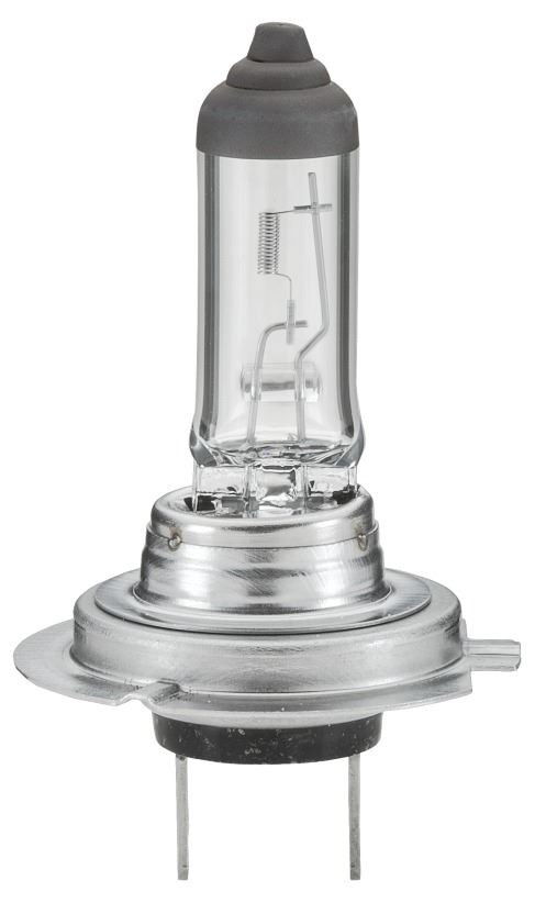 H7 halogen bulb headlight fog light Standard range