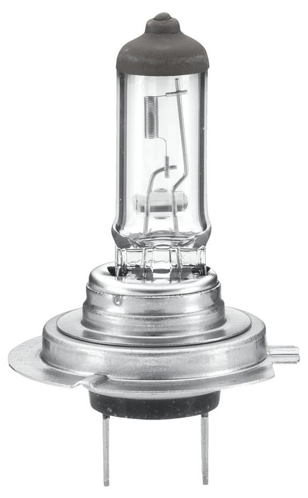 H7 halogen bulb headlight fog light Heavy Duty Expert range