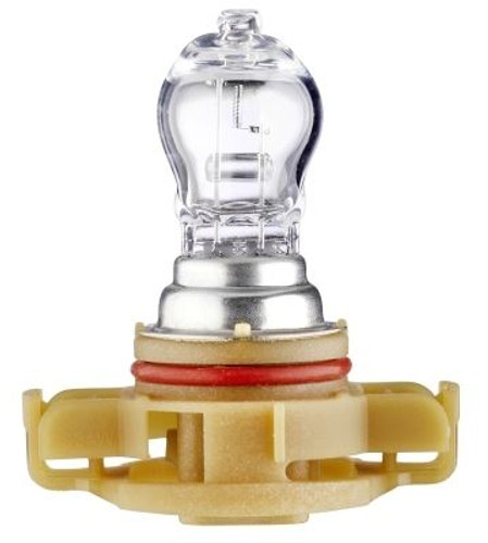 PS24W halogen bulb headlight fog light Standard range