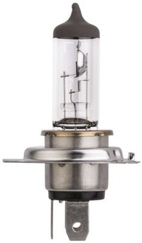 HS1 halogen bulb spotlight Standard range