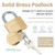 unity Keyed Alike Solid Brass Management Padlock 2" (50mm)  for Self Storage, Storage Unit