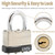 20pcs Same keyed Laminated Steel Padlock 1-3/4"(45mm) High Security, High Precision Padlock