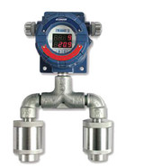 iTrans2 Fixed Gas Monitor With  On-Board Sensors 1 & 2