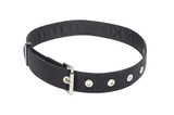 3M DBI Sala Safety Utility Belt - Xlarge to 3Xlarge, 40" - 54" Waist, Mfg# 1500114