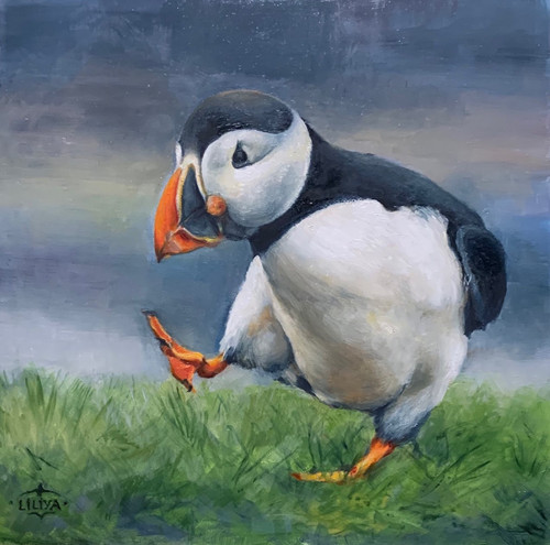 Puffin