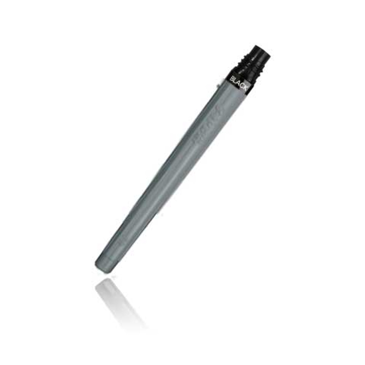 Pentel Pocket Brush Pen W/Two Refills Sepia Ink - Wet Paint