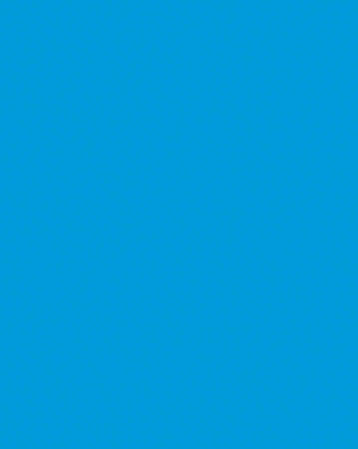 Pacon Premium Coated Poster Board 22x28