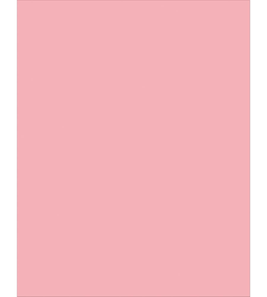 Pacon Premium Coated Poster Board 22x28